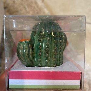 NIB Cactus salt and pepper shaker set for Taco Tuesday and Succulent Lovers!